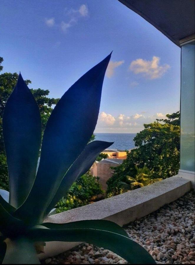 Encantador Em Ondina Casa de Férias